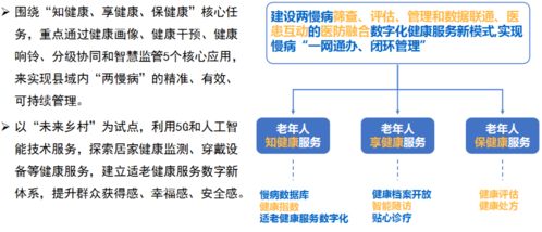 数智赋能与精准创新 县域医共体下探索两慢病全周期健康管理新路径
